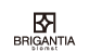 brigantia